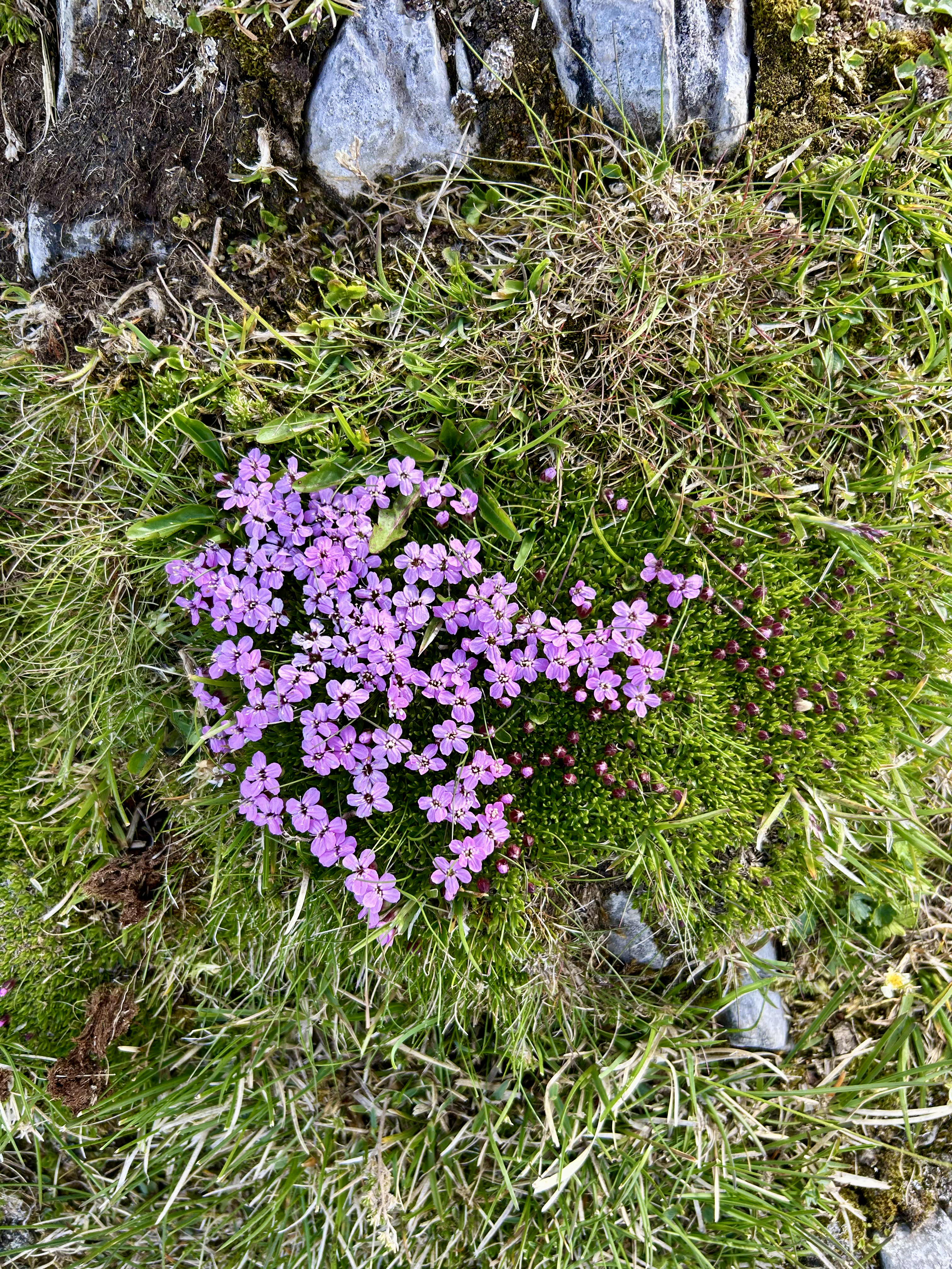 Alpine landscape near Innsbruck